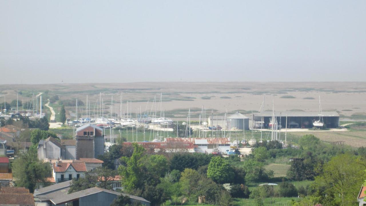 Grande Maison Charentaise: Estuaire Views & Sunset Splendor Mortagne-sur-Gironde Exterior photo